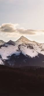 Nature Snow Trees Mountains 5k Iphone 12 Wallpapers Free Download Iphone x iphone 11 pro i phone 12 ios 14 samsung note 20 iphone 8 iphone xr samsung s20 ultra iphone 12 pro max ios 13. nature snow trees mountains 5k iphone