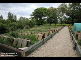 Heliciculture Elevage Escargot Jardins Muret
