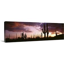 However, to visit organ pipe cactus national monument, we chose to dry camp at the campground as far as campgrounds go, it's definitely one of the most beautiful! Silhouette Of Saguaro Cactus At Sunset Organ Pipe Cactus National Monument Canvas Wall Art Overstock 16885650