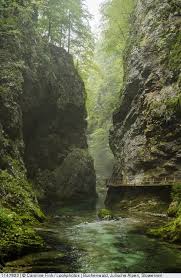 Buchenwald Julische Alpen Slowenien Julische Alpen Slowenien Alpen