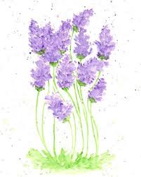 We did not find results for: Amazon Com Watercolor Flower Print Lavender Flower Painting Handmade Products