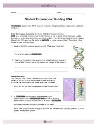 Each lesson includes a student exploration sheet, an exploration sheet answer key, a teacher guide, a vocabulary sheet and assessment questions. Student Exploration Building Dna Fill Online Printable Fillable Blank Pdffiller