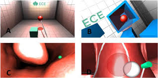 A sleepy fatigued person is accident prone, judgement impaired and more likely to make mistakes and bad decisions. Frontiers Distinguishing Intermediate And Novice Surgeons By Eye Movements Psychology