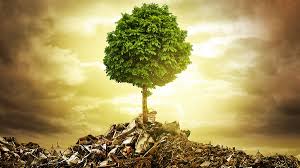 Check spelling or type a new query. Environmental Sustainable Design