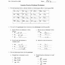 Pin On Customize Design Worksheet Online