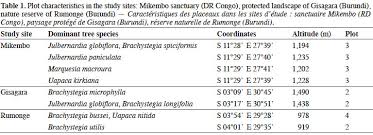 Image result for Marquesia macroura