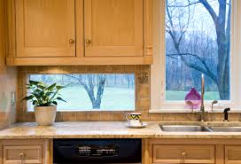 Maybe you would like to learn more about one of these? Terrarium Kitchen Window Houzz