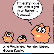 Urology Humor Kidney Stones Funny Medical Humor Ultrasound Humor