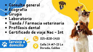 Centro Veterinario TimoVet