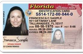 Setting up an appointment with the florida dmv, also known as the florida highway safety and motor vehicles (flhsmv), is not an easy feat. Florida Department Of Motor Vehicles Computers Down Statewide