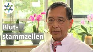 Die Forschung an Blutstammzellen