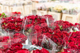 Maybe you would like to learn more about one of these? Warehouse Refrigerator Wholesale Flowers For Flower Shops Red Roses In A Plastic Container Or Bucket Online Store Floral Shop And Delivery Concept Stock Photo Picture And Royalty Free Image Image 123137897