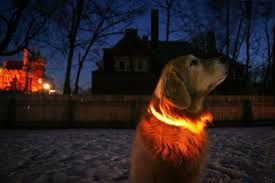 Halo Mini Led Dog Collar Halo Belt Led Belt Led Dog Collar Led Safety Reflective Belt Safety Belt Bike Lights Bike Light