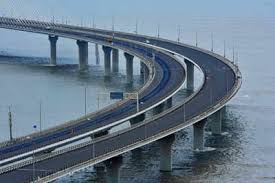 Maharashtra chief minister and shiv sena president. Mumbai News Updates City Reports 733 Positive Cases 19 Deaths Today The Times Of India