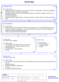 Court Case Chart Civil Procedure Flow Chart Pdf Civil