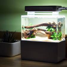When choosing a fish tank, you must always consider the individual fish's requirements in terms of quality of this tank is ideal if you want something to put on a countertop, office desk, or small table. Led Light Desktop Mini Fish Tank Micro Aquatic Shop
