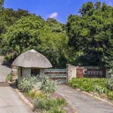 Image result for Casearia gladiiformis