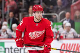 703 lilly rd ne ste 106, olympia, wa, 98506. Red Wings Recall Filip Zadina Winging It In Motown