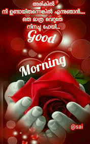 Pin By On Good Morning Good Morning Quotes Good Morning Flowers Morning Quotes