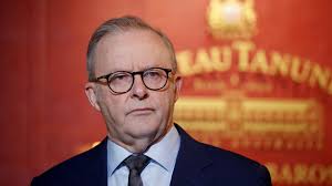 Cotton Tree Beach Bar: New venue's opening stuns owners Katelyn and Jonny  Giles