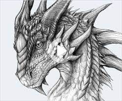 Pin On Dragon Drawing Tattoo