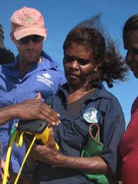 Image result for Dissotis glandulosa