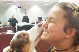 Creating a Trauma Informed State