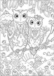 Click the cute owl coloring pages to view printable version or color it online (compatible with ipad and android tablets). Two Owls Owls Adult Coloring Pages