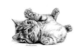 Art Chat Dessin Illustration Dessin Illustration Tierkunst Kohlemalerei Katzenzeichnung