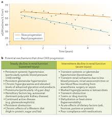Here are some easy to make recipes for breakfast, lunch, dinner, and snacks! Rethinking Progression Of Ckd As A Process Of Punctuated Equilibrium Nature Reviews Nephrology