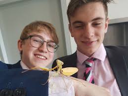 Entomology Club Update