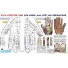 acp sujok chart correspondence acupressure health care