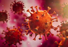 Seventeen Further Covid 19 Coronavirus Cases Detected Across Nhs Highland Area Public Health Scotland Reveals