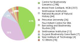 Image result for Crotalaria pallidicaulis