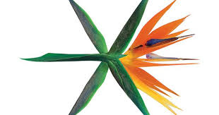 The War The 4th Album Exo Genie Exo Kpop Lagu