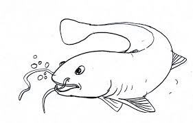 Download now gambar ikan teri kartun. Cara Membuat Sketsa Gambar Ikan Lele Cek Komposisinya Juga