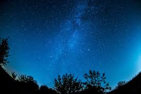 Night skies scenic backdrop rentals available. 503222 Astronomy Background Constellation Cosmic Cosmos Dark Evening Sky Exploration Forest Galaxy Landscape Milky Way Nature Night Night Sky Outdoors Sky Space Starry Starry Sky Stars Trees Public Doma 4k Wallpaper