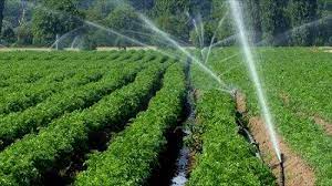 Irrigation Systems