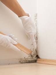 Make sure to have it removed as soon as you find it. How To Test For Mold In Walls