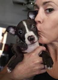 New on-board Fate took their mom far away from them. We are trying  everything we can to make them see beautiful world. They will be up for  adoption in 4 weeks, after