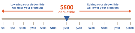 Out of pocket after you pay the deductible amount, your insurer will begin paying forth their portion of the. All About Deductibles In Pet Insurance Trupanion