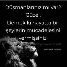 Winstonchurchill Kisiselgelisimfarkindalik Kisiselgelisim Farkindalik Cekimyasasi Yasam Bilincalti Kuantum Psikoloji Movies Lockscreen Movie Posters