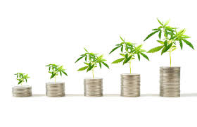 Viewpoints: Impairment considerations in the cannabis industry