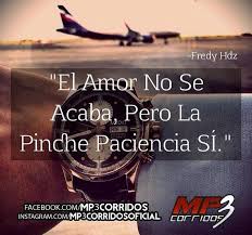 Corridos Vip Frases Motivadoras Frases Bonitas Frases De Narcos