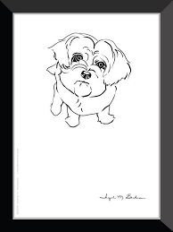 Pin On Adorable Critters