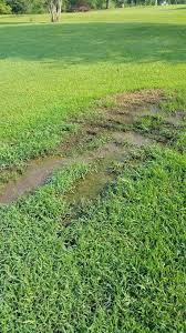 Check spelling or type a new query. Victory Septic Victoryseptic Profile Pinterest