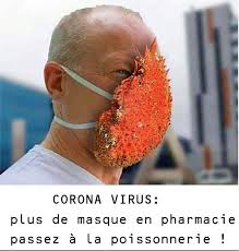 Mais selon un article publié par le dr russell blaylock, un neurochirurgien à la retraite, cette mesure de protection n'a pas. Bretagne Epidemie De Dessins Et Photos Humoristiques Sur Le Coronavirus Cote Quimper