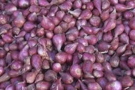Kebutuhan bahan pokok ini sangat di perlukan seperti halnya. Bea Cukai Aceh Gagalkan Penyelundupan 15 Ton Bawang Merah Asal Thailand