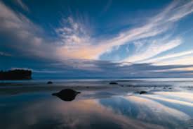 Image result for With patience.