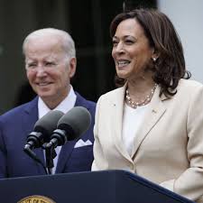 Image result for Bidens ugandensis